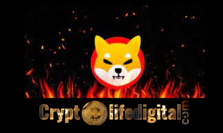 https://backup.cryptolifedigital.com/wp-content/uploads/2022/11/1CENT-One-Of-The-Community-led-Initiatives-Burns-Almost-21000000-SHIB-In-One-Transaction-Over-The-Past-24-Hours.jpg