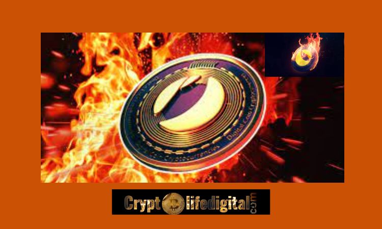 https://backup.cryptolifedigital.com/wp-content/uploads/2022/11/Anonymous-Wallet-Burns-Over-35-Million-LUNC-127.5M-Were-Burnt-Via-0.2-Tax-Burn-In-24-Hours.jpg