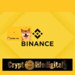 https://backup.cryptolifedigital.com/wp-content/uploads/2022/11/Binance-holds-SHIB-more-than-any-other-exchange-as-a-reserve-It-Holds-87-Trillion-SHIB.jpg
