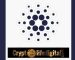 Cardano To Roll Out Midnight, A Data Protection-based Blockchain For Developers And Humanity Cardano To Roll Out Midnight, A Data Protection-based Blockchain For Developers And Humanity
