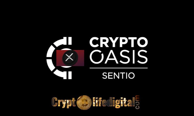 https://backup.cryptolifedigital.com/wp-content/uploads/2022/11/Crypto-Oasis-Mentions-Some-Of-The-Key-Impact-Of-Ripple-In-The-Middle-East-And-North-Africa-MENA.jpg