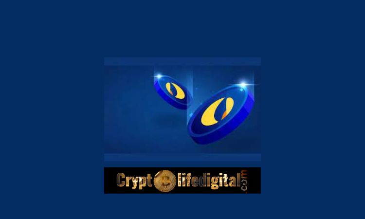 https://backup.cryptolifedigital.com/wp-content/uploads/2022/11/DEX-To-Be-The-Furnace-For-Hottest-DApp.jpg