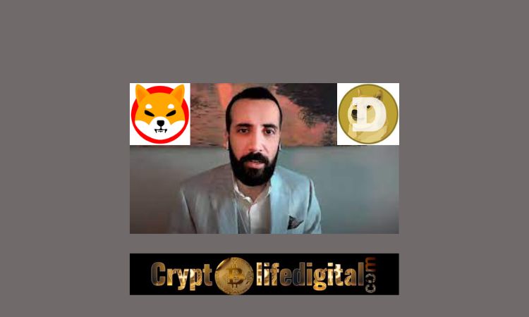 https://backup.cryptolifedigital.com/wp-content/uploads/2022/11/David-Gokhshtein-Says-Half-the-people-I-know-made-more-gains-on-DOGE-and-SHIB-than-BTC.jpg