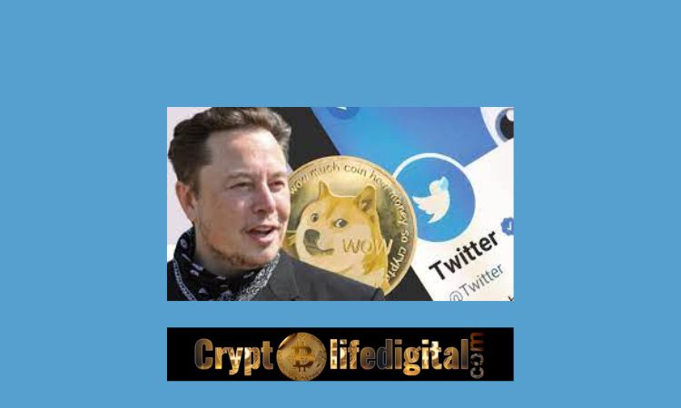 https://backup.cryptolifedigital.com/wp-content/uploads/2022/11/Dogecoin-Spikes-Following-Elon-Musks-Acceptance-Of-Twitter-Deal..jpg