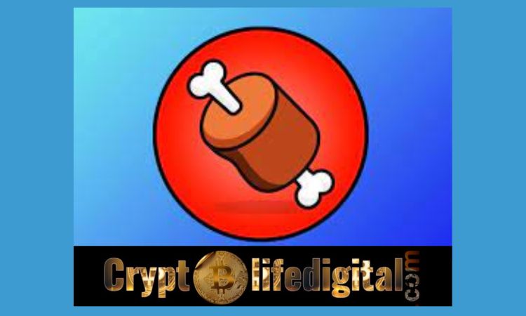 https://backup.cryptolifedigital.com/wp-content/uploads/2022/11/NOWPayments-Now-Supports-BONE-ShibaSwap-To-Serve-As-A-Payment-Method-For-Merchants.jpg