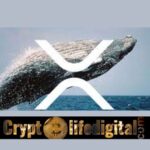 https://backup.cryptolifedigital.com/wp-content/uploads/2022/11/Ripple-Whale-Moves-A-Total-Of-528-Million-Binance-Initiates-The-Biggest-Part-Of-Transaction.jpg
