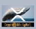 Ripple Whales Move A Total Of 528 Million, Binance Initiates The Biggest Part Of Transaction Ripple Whales Move A Total Of 528 Million, Binance Initiates The Biggest Part Of Transaction