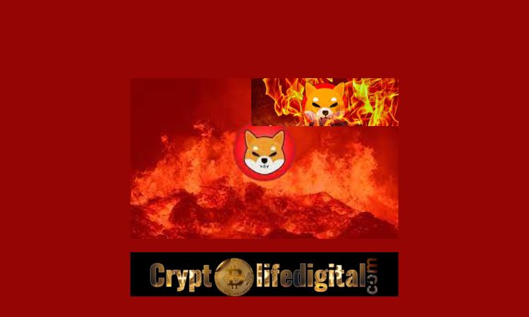 https://backup.cryptolifedigital.com/wp-content/uploads/2022/11/SHIB-Burn-Rate-Spikes-299.43-As-Shiba-Inu-Community-Burns-A-Total-Of-26248144-SHIB-Total-SHIB-Burn-Sits-At-410.38T-Point.jpg