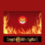 https://backup.cryptolifedigital.com/wp-content/uploads/2022/11/Shiba-Inu-Community-Burns.jpg