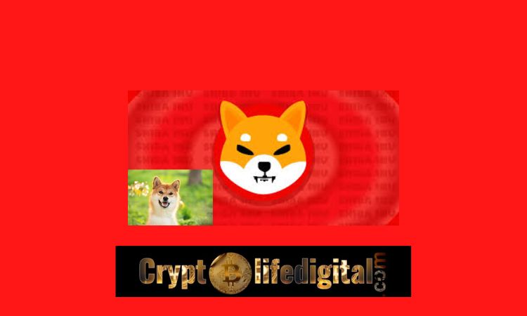 https://backup.cryptolifedigital.com/wp-content/uploads/2022/11/Shiba-Inu-Community-Burns-223.26M-In-A-Week-22.06M-In-The-Past-24-Hours.jpg