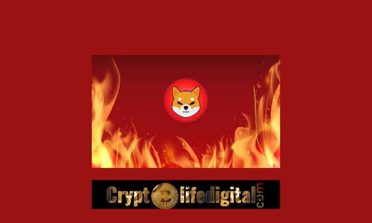 https://backup.cryptolifedigital.com/wp-content/uploads/2022/11/Shiba-Inu-Community-Burns.jpg