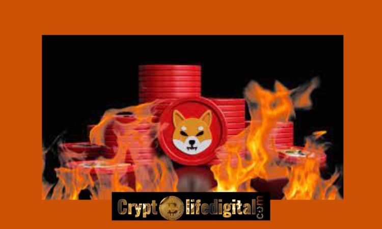 https://backup.cryptolifedigital.com/wp-content/uploads/2022/11/Shibburn.com-Burns-A-Whopping-134.95-million-SHIB-Burn-Rate-Spikes-1069.26-Over-The-24-Hours.jpg