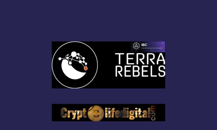 https://backup.cryptolifedigital.com/wp-content/uploads/2022/11/Terra-Classic-Network-Upgrade-v23-Is-Set-To-Occur-In-Q4-2022.jpg