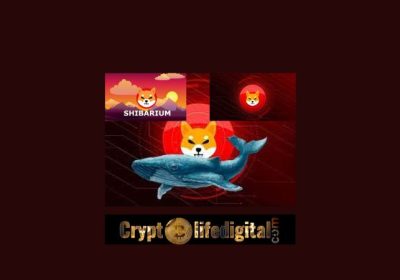 Top ETH Whale Buys A Whopping 133.53 Billion SHIB, Shibtoken Follows Shibarium’s Blockchain Twitter Handle.