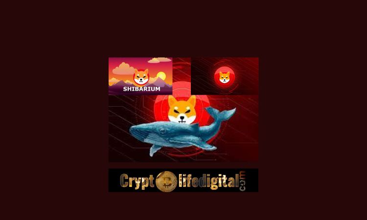 https://backup.cryptolifedigital.com/wp-content/uploads/2022/11/Top-ETH-Whale-Buys-A-Whopping-133.53-Billion-SHIB-Shibtoken-Follows-Shibariums-Blockchain-Twitter-Handle..jpg