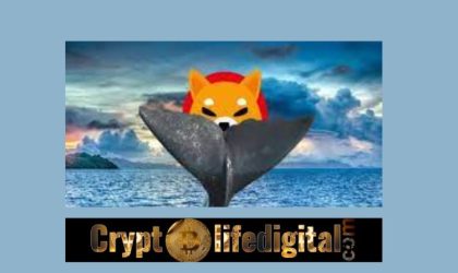 Top ETH Whale Buys A Whopping 655.75B SHIB, worth $6.11M