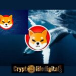 https://backup.cryptolifedigital.com/wp-content/uploads/2022/11/Two-Whales-Acquire-A-whopping-Over-1.72T-Worth-15.60-Million-Following-The-World-Economic-Invitation-SHIB-Price-Spikes.jpg