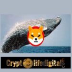 https://backup.cryptolifedigital.com/wp-content/uploads/2022/11/Two-Whales-Buy-A-Whooping-531.65B-Worth-4.83-Billion-In-Two-Transactions.jpg