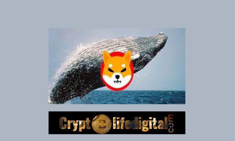https://backup.cryptolifedigital.com/wp-content/uploads/2022/11/Two-Whales-Buy-A-Whooping-531.65B-Worth-4.83-Billion-In-Two-Transactions.jpg