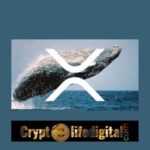 https://backup.cryptolifedigital.com/wp-content/uploads/2022/11/Unknown-Whales-Move-A-Whopping-492.94-million-XRP-In-The-Past-24-Hours.jpg