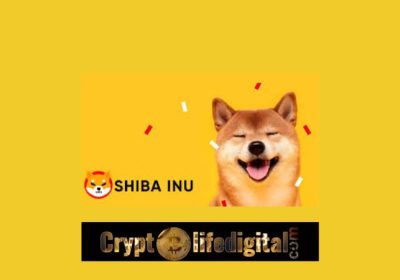 New Whale Accumulates Over 290 Billion SHIB In The Past 24 Hours, Shiba Inu Community Burns Over 43M, SHIB Spikes 2.97%