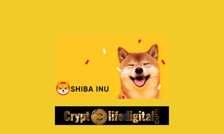 https://backup.cryptolifedigital.com/wp-content/uploads/2022/11/Whale-Accumulates-Over-290-Billion-SHIB-In-The-Past-24-Hours.jpg
