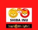 Whale Purchases A Whopping 205.81 Billion SHIB Making The Total Whales’ Holding To Be 2.83 Trillion Whale Purchases A Whopping 205.81 Billion SHIB Making The Total Whales’ Holding To Be 2.83 Trillion