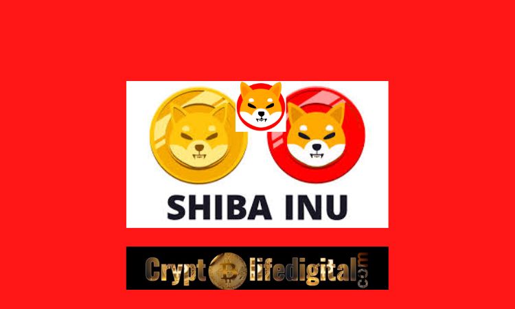 https://backup.cryptolifedigital.com/wp-content/uploads/2022/11/Whale-Purchases-A-Whopping-205.81-Billion-SHIB-Making-The-Total-Whales-Holding-To-Be-2.83-Trillion.jpg