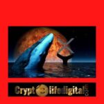 https://backup.cryptolifedigital.com/wp-content/uploads/2022/11/Whales-Move-A-Whopping-Over-259-Million-XRP-It-Spikes-10-In-The-Past-24-Hours..jpg