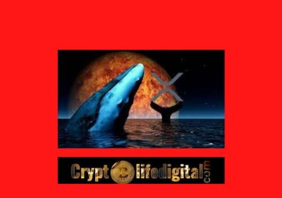 Whales Move A Whopping Over 259 Million XRP, It Spikes 10% In The Past 24 Hours.