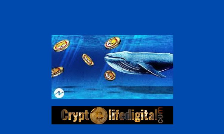 https://backup.cryptolifedigital.com/wp-content/uploads/2022/11/Whales-Move-Over-3.4-Trillion-SHIB-following-The-Shytoshi-Kusamas-Statement-On-Shibarium-SHIB-Spikes-5.23.jpg