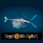 https://backup.cryptolifedigital.com/wp-content/uploads/2022/11/Whales-Move-Over-421.1M-Worth-168.4-Million-Between-Unknown-Wallets-And-Bitstamp.jpg