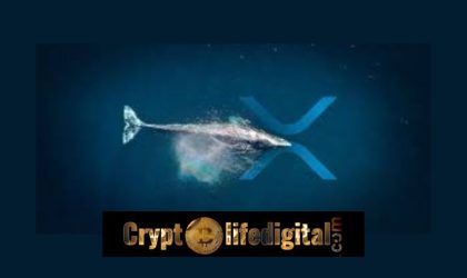 Whales Move Over 421.1M Worth $168.4 Million Between Unknown Wallets And Bitstamp