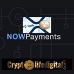 https://backup.cryptolifedigital.com/wp-content/uploads/2022/12/Employers-Can-Now-Pay-Salaries-In-XRP.jpg