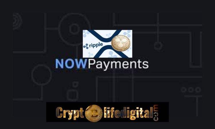 https://backup.cryptolifedigital.com/wp-content/uploads/2022/12/Employers-Can-Now-Pay-Salaries-In-XRP.jpg