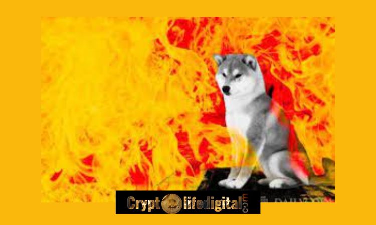 https://backup.cryptolifedigital.com/wp-content/uploads/2022/12/Over-27-Million-Is-Burnt-Resulting-To-Shiba-Inu-Burn-Rate-Spike.jpg
