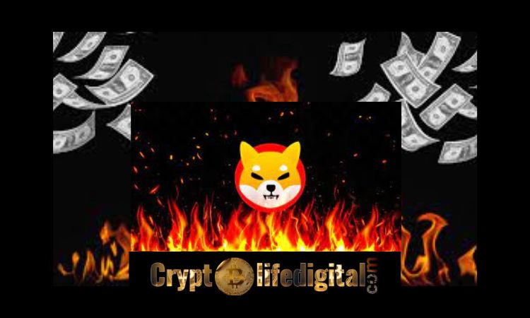 https://backup.cryptolifedigital.com/wp-content/uploads/2022/12/Shiba-Inu-Community-Burns-Over-666.90M-Shiba-Inu-In-the-Past-30-Days..jpg