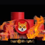 https://backup.cryptolifedigital.com/wp-content/uploads/2022/12/Shiba-Inus-Burn-Rate-Spikes-Over-29000-As-302.50M-SHIB-Were-Burnt.jpg