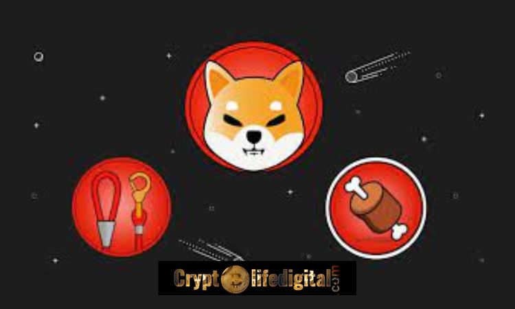 https://backup.cryptolifedigital.com/wp-content/uploads/2022/12/Shytoshi-Kusama-The-SHIB-Lead-Developer-Hints-On-The-Launch-Of-Shibarium.-See-What-He-Said.jpg