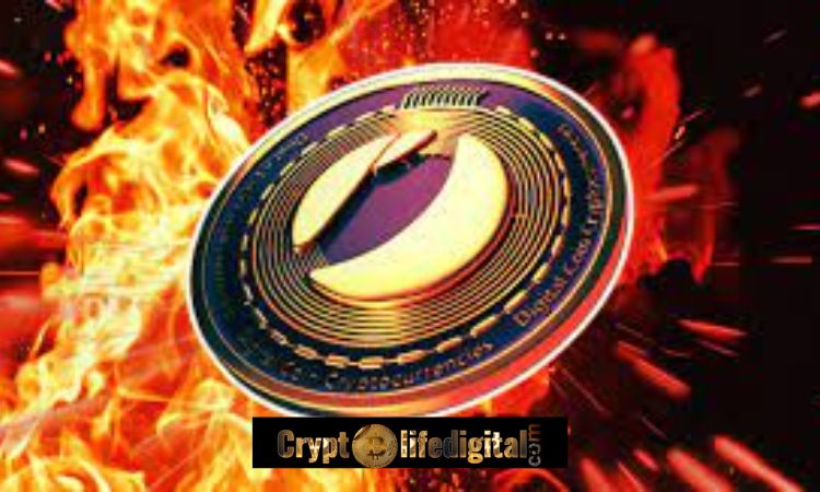 https://backup.cryptolifedigital.com/wp-content/uploads/2022/12/Terra-Classic-Burn-Rate-Spikes-Massively-As-Over-20-Million-LUNC-Is-Incinerated-1.jpg