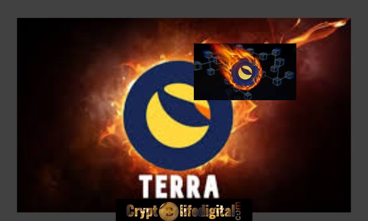 https://backup.cryptolifedigital.com/wp-content/uploads/2022/12/Terra-Classic-Community-Burns-Over-5.6-Million-LUNC-5.4M-In-A-Single-Transaction.jpg
