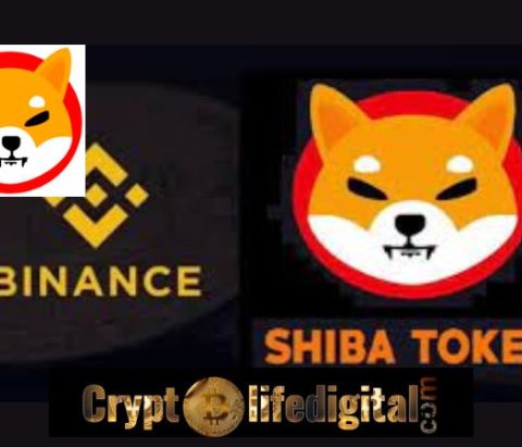The Largest Crypto Exchange, Binance, Moves A Total Of 1.89 Trillion Shiba Inu Tokens