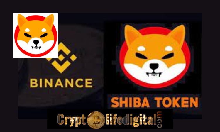 https://backup.cryptolifedigital.com/wp-content/uploads/2022/12/The-Largest-Crypto-Exchange-Binance-Moves-A-Total-Of-1.89-Trillion-Shiba-Inu-Tokens.jpg