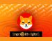 Top Developer Updates Community Of Shiba Inu On The Entire Ecosystem, SHIB Community Takes It For Shibarium Top Developer Updates Community Of Shiba Inu On The Entire Ecosystem, SHIB Community Takes It For Shibarium