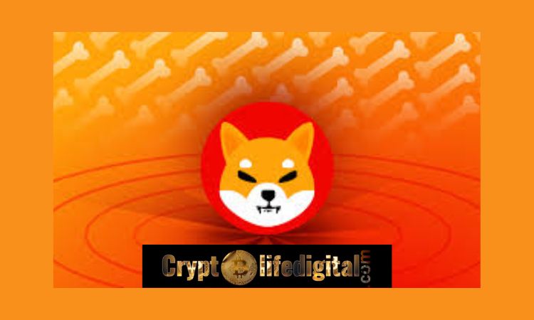 https://backup.cryptolifedigital.com/wp-content/uploads/2022/12/Top-Developer-Updates-Community-Of-Shiba-Inu-On-The-Entire-Ecosystem-SHIB-Community-Takes-It-For-Shibarium.jpg