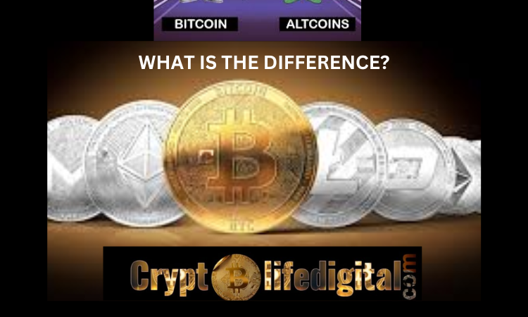 https://backup.cryptolifedigital.com/wp-content/uploads/2022/12/WHAT-IS-THE-DIFFERENCE.png