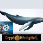 https://backup.cryptolifedigital.com/wp-content/uploads/2022/12/Whales-Withdraw-Massive-150-Million-XRP-Tokens.jpg