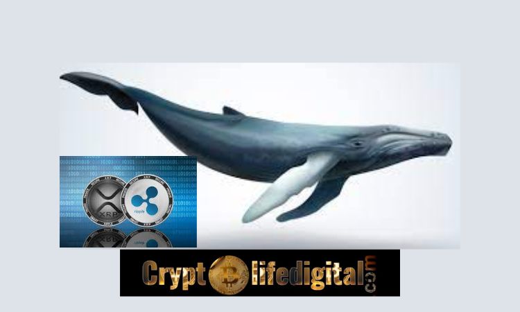 https://backup.cryptolifedigital.com/wp-content/uploads/2022/12/Whales-Withdraw-Massive-150-Million-XRP-Tokens.jpg