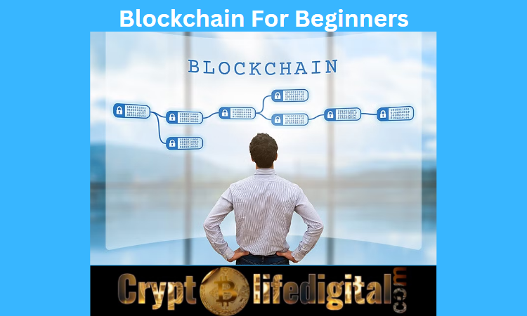 https://backup.cryptolifedigital.com/wp-content/uploads/2023/01/Blockchain-For-Beginners.png
