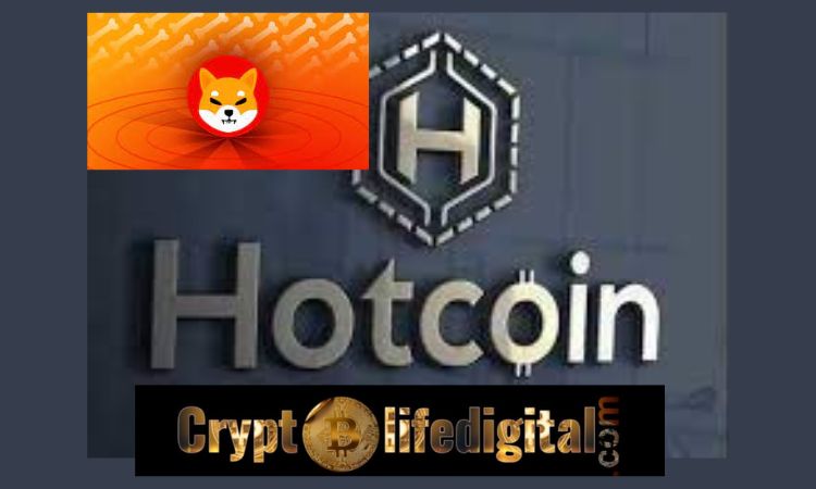 https://backup.cryptolifedigital.com/wp-content/uploads/2023/01/Hotcoin-Global-Partners-With-Simplex-To-Enable-Support-On-Shiba-Inu-And-A-Few-Other-Crypto.jpg